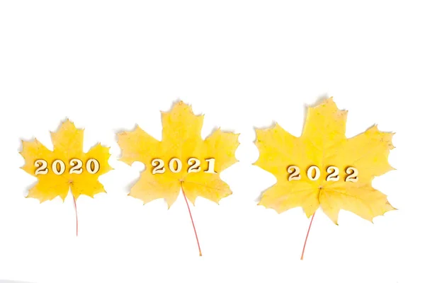 Жовте Кленове Листя Білому Тлі Цифрами 2020 2021 2022 Року — стокове фото
