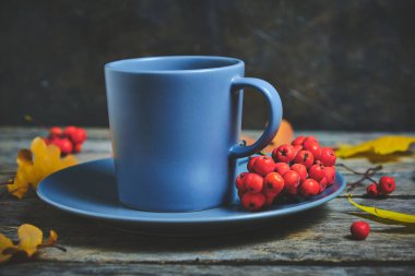 Mavi kupa ve çay tabağı sonbahar yaprakları ve kırmızı dağ külleriyle ahşap bir masada.