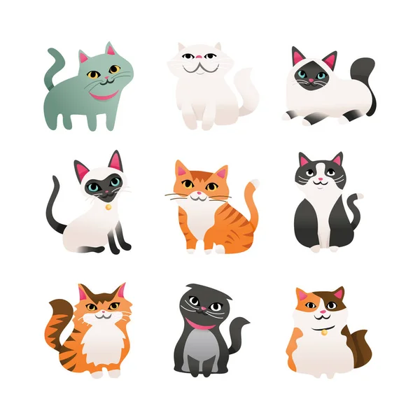 Conjunto de desenhos animados de gatos fofos desenhados à mão gatinhos fofos  em pose diferente