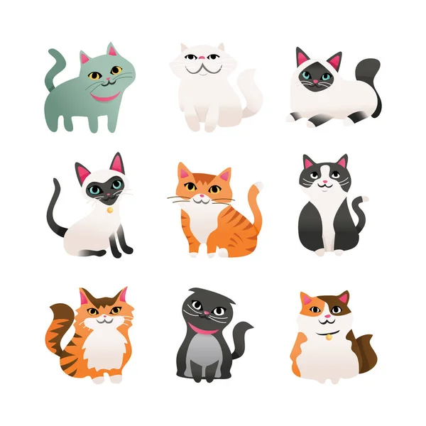 Een Cartoon Vectorillustratie Van Negen Verschillende Cute Cartoon Katten Verschillende — Stockvector