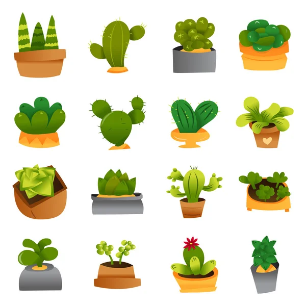 Cactus de dibujos animados y suculentas conjunto de iconos — Archivo Imágenes Vectoriales