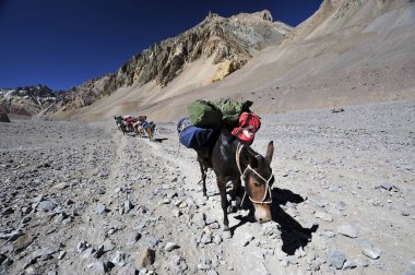 Dağların arasındaki çölde bir nehir vadisinde atlılar. Gri dağlar. Çıplak dağlık arazi.