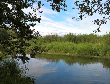 Yeşiller, bir peyzaj sessiz güzel nehir kıyısında