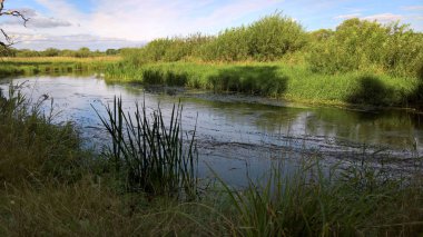 güzel sahil sahil, yaz, ısı hakkında hızlı Nehri