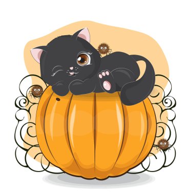pumpkin Halloween siyah kedi