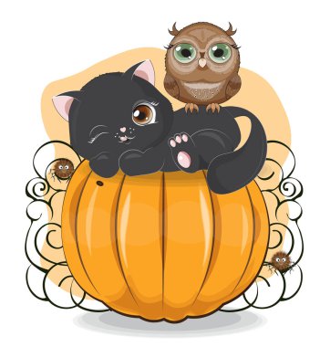 Baykuş ile balkabağı üzerinde Halloween siyah kedi