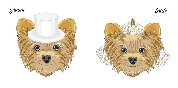 Two Vector Puppys Yorkshire Terrier Dogs Groom Bride Picture Hand — Stock Vector