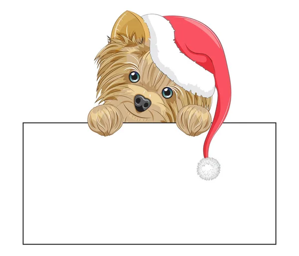 Güzel bir köpek yavrusu, Noel Baba şapkalı bir köpek. Karikatür tarzı resim, tişört desenli tasarım, mutlu Noeller, yeni yıl tebrik kartı, kartpostal. parti daveti.