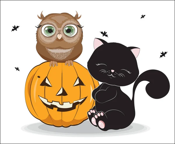 Черный Хэллоуин Кошка Сова Тыкве Изображение Футболки Носить Дизайн Модной — стоковый вектор