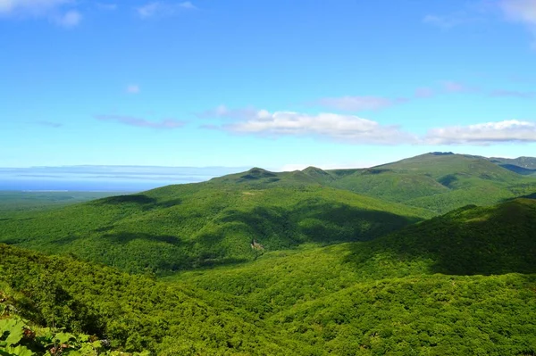 Ufuktaki orman ve okyanus, Iturup adası, Kuril Adaları, Rusya