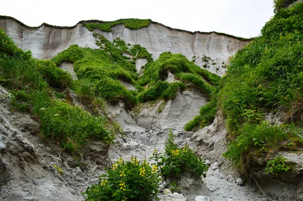 Rocky Pasifik Sahili, Iturup Adası, Kuril Adaları, Rusya