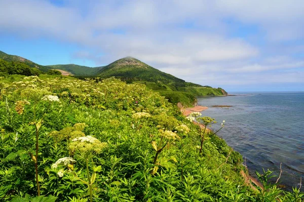 Korsakov kasabası yakınlarındaki Sopka, Ostorov Sakhalin, Rusya