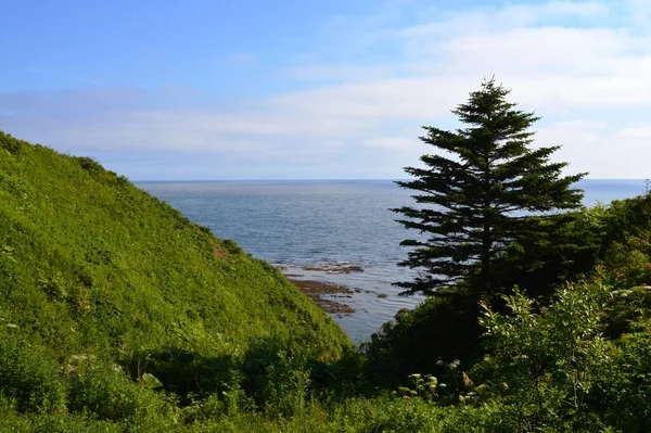 Aniva Körfezi kıyısı, Korsakov kasabası, Yuzhno-Sakhalinsk, Sakhalin Adası, Rusya