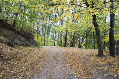 Kislovodsk Parkı 'nda sonbahar, Kosygin Yolu, Kafkas maden suları, Rusya