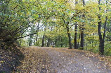 Kislovodsk Parkı 'nda sonbahar, Kosygin Yolu, Kafkas maden suları, Rusya