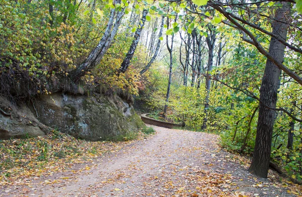 Herbst Kislowodsk Park Kosygin Weg Kaukasisches Mineralwasser Russland — Stockfoto