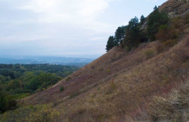 Dağlardaki Kislovodsk Ulusal Parkı 'nda sonbahar, Kafkas Mineral Suları, Rusya
