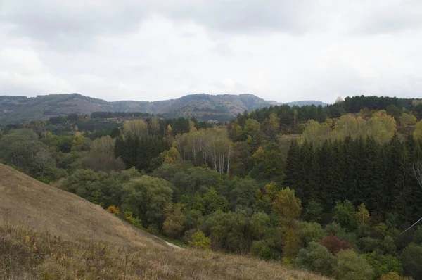 Jesienny Krajobraz Kisłowodskim Parku Narodowym Górach Kaukaskie Wody Mineralne Rosja — Zdjęcie stockowe