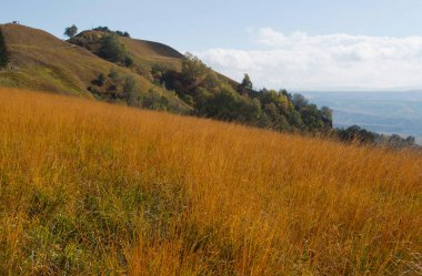 Kislovodsk Parkı 'nda sonbahar doğası. Büyük eyer, Kafkas Mineral Suları, Rusya yolunda.