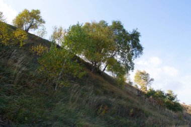 Kislovodsk Parkı 'nda sonbahar doğası. Büyük eyer, Kafkas Mineral Suları, Rusya yolunda.