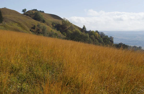 Kislovodsk Parkı 'nda sonbahar doğası. Büyük eyer, Kafkas Mineral Suları, Rusya yolunda.