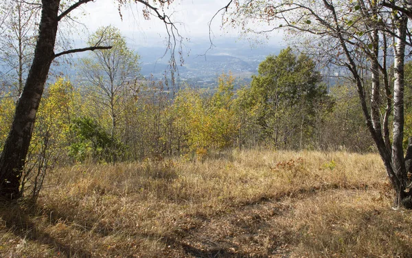 Herfst Natuur Het Kislovodsk Park Kaukasisch Mineraalwater Rusland — Stockfoto