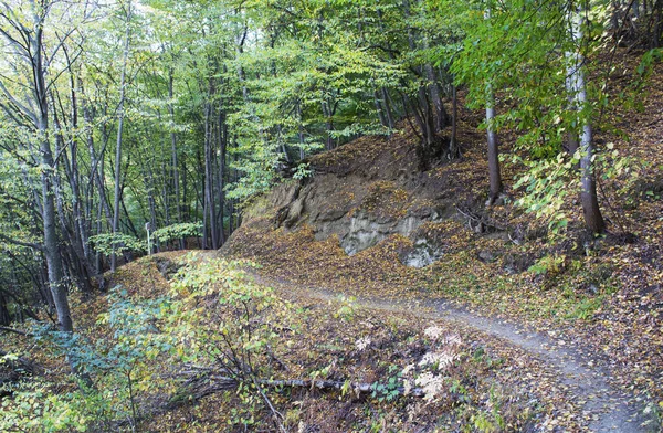 Automne Nature Dans Parc Kislovodsky Sentier Kosygin Eaux Minérales Caucase — Photo