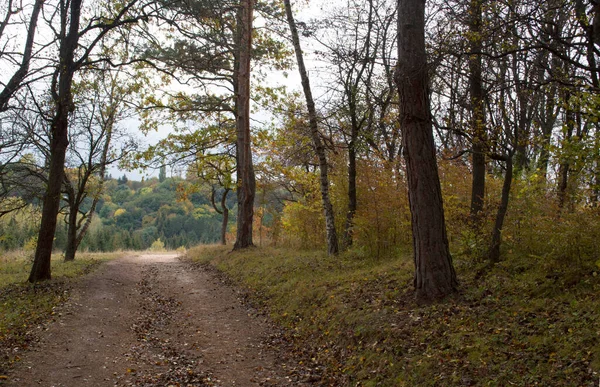 Herbstlandschaft Kislovodsk Nationalpark Kaukasisches Mineralwasser Russland — Stockfoto