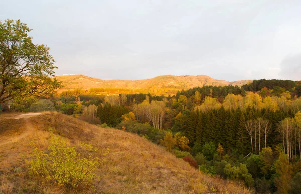Jesienny Krajobraz Zachodzie Słońca Parku Narodowym Kisłowodsk Kaukaskie Wody Mineralne — Zdjęcie stockowe