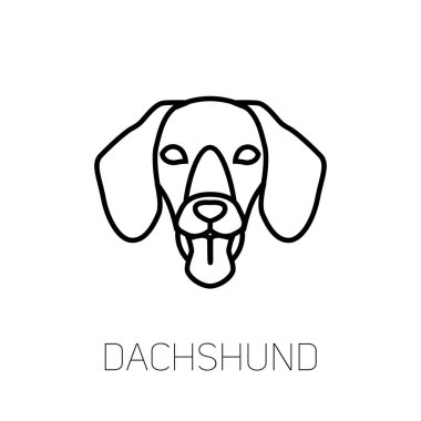 Dachshund dilini. Köpek doğurmak doğrusal yüz simgesi. İzole vektör hat dog Head'a