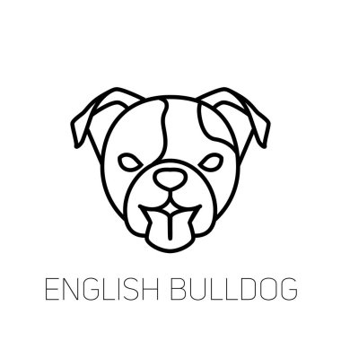 İngilizce bulldog dilini. Köpek doğurmak doğrusal simgesi. İzole vektör hat dog Head'a