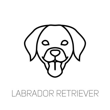 Labrador Retriever dilini. Köpek doğurmak doğrusal yüz simgesi. İzole vektör hat dog Head'a