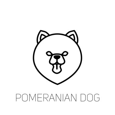 Pomeranian spitz dilini. Köpek doğurmak doğrusal yüz simgesi. İzole vektör hat dog Head'a