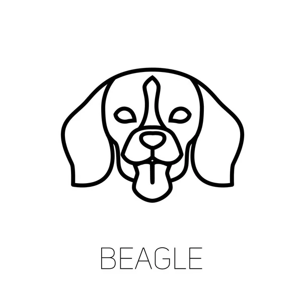 Língua de beagle para fora. Cão raça ícone de rosto linear. Cabeça de cão de linha vetorial isolada —  Vetores de Stock