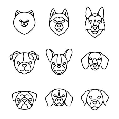 Köpekler doğurmak doğrusal Icon set. Pomeranian spitz, Pug, Husky, Dachshund, Beagle, Alman çoban, Labrador, Fransızca, İngilizce bulldog. İzole vektör hat köpek kafaları