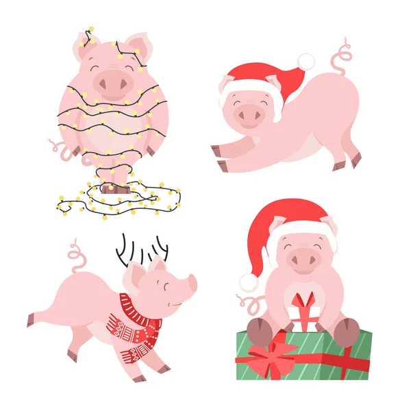 Niedliche Weihnachtsschwein Set Winter Urlaub Schweinchen Vektor Illustration Für Karten — Stockvektor