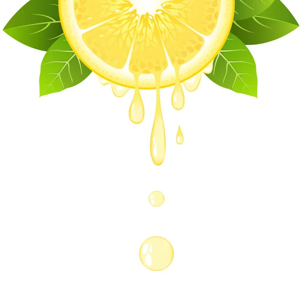 Mezza fetta di limone realistica con foglie e gocce di succo. Frutta succosa. Progettazione fresca degli agrumi sull'illustrazione bianca del vettore — Vettoriale Stock