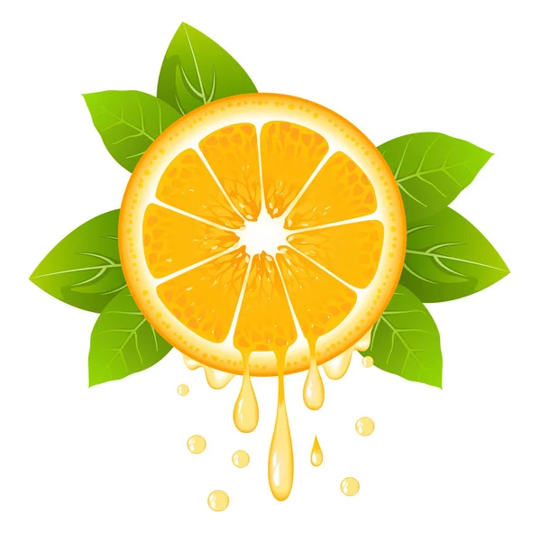 Realista rebanada de naranja con hojas y gotas de jugo. Fruta jugosa. Diseño de cítricos frescos en la ilustración del vector de fondo blanco — Vector de stock