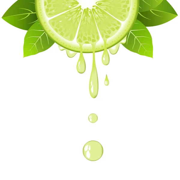 Eine halbe Limettenscheibe mit Blättern und Tropfen Saft. saftige Früchte. frische Zitrusfrüchte Design auf weißem Hintergrund Vektor Illustration — Stockvektor