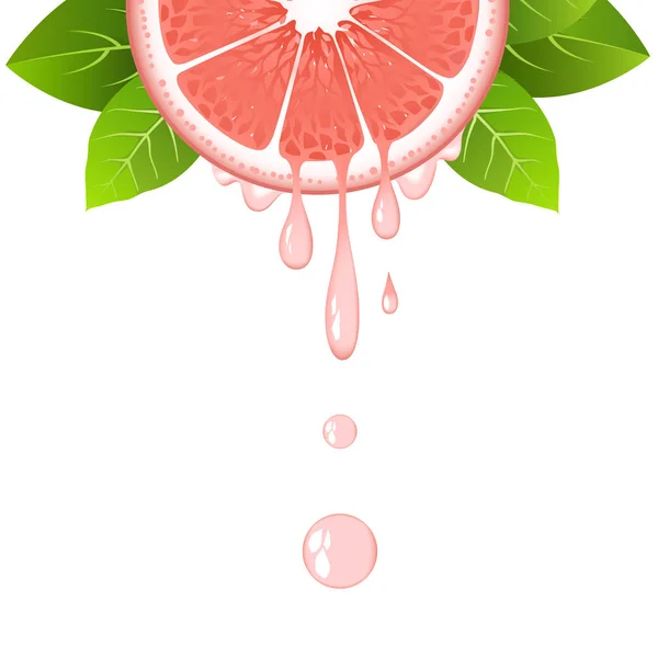 Realistic half grapefruit slice with leaves and drops of juice. Juicy fruit. Fresh citrus design on white vector illustration — Stock Vector