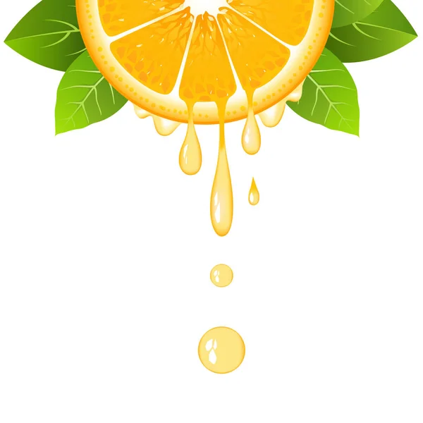 Setengah irisan oranye yang realistis dengan daun dan setetes jus. Buah yang enak. Desain sitrus segar pada gambar vektor latar belakang putih - Stok Vektor