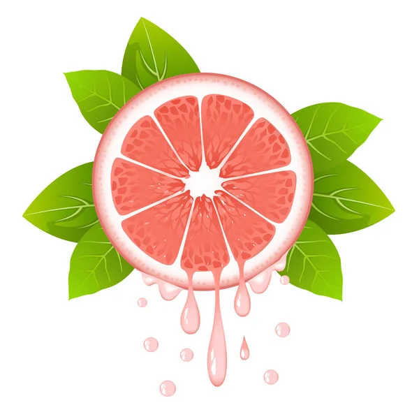 Realista rodaja de pomelo con hojas y gotas de jugo. Fruta jugosa. Diseño de cítricos frescos en la ilustración de vectores blancos — Archivo Imágenes Vectoriales