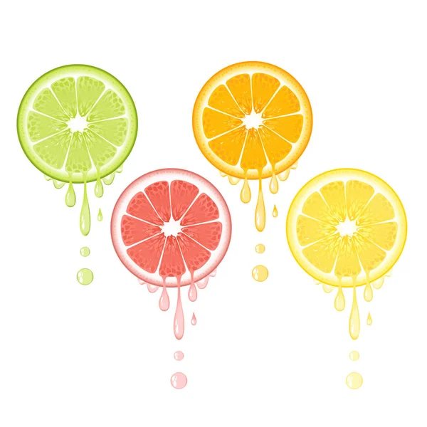 Tranche d'agrumes réaliste sertie de feuilles et de gouttes de jus. Pamplemousse citron juteux citron vert et fruits orange. Conception de fruits biologiques frais sur fond blanc illustration vectorielle — Image vectorielle