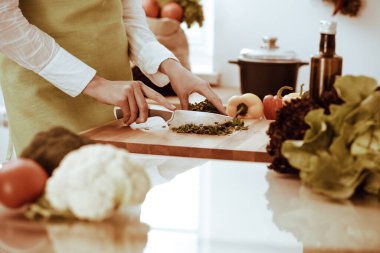 Mutfakta pişen bilinmeyen insan elleri. Kadın sebze salatasıyla meşgul. Sağlıklı yemek ve vejetaryen gıda konsepti.