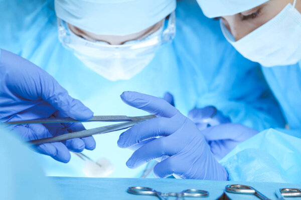 Крупный план работы медицинской бригады. Группа хирургов на работе занята пациентами. Медицина, ветеринария или здравоохранение и неотложная помощь в больнице