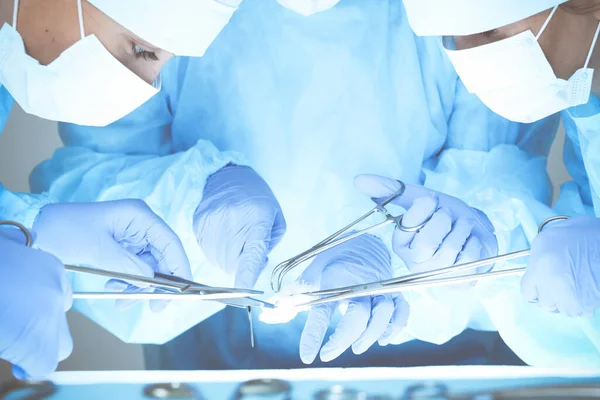 Close-up of medical team performing operation. Group of surgeons at work are busy of patient. Medicine, veterinary or healthcare and emergency in hospital — Stock Photo, Image