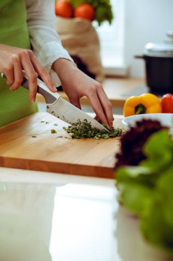 Mutfakta pişen bilinmeyen insan elleri. Kadın sebze salatasıyla meşgul. Sağlıklı yemek ve vejetaryen gıda konsepti.