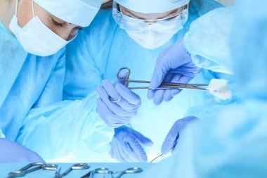 Tıbbi ekibin operasyon için yakın plan çekimleri. Bir grup cerrah hastalarıyla meşgul. Hastanede tıp, veterinerlik veya sağlık hizmetleri ve acil servis