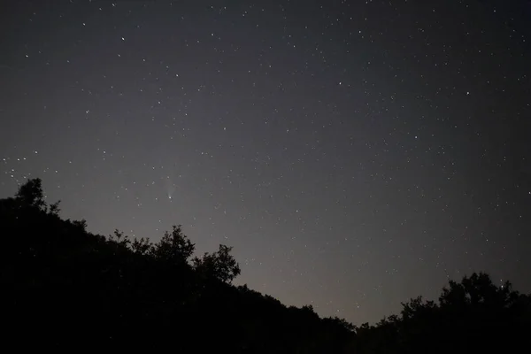 Starry Sky Night Neowise 2020 Comet Silhouette Trees — Stock Photo, Image