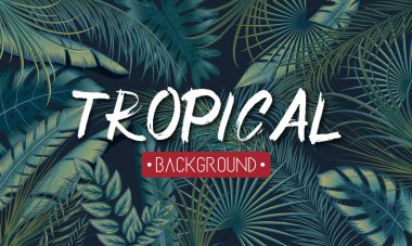 Tropikal yaprakların orman bitkileriyle gösterimi